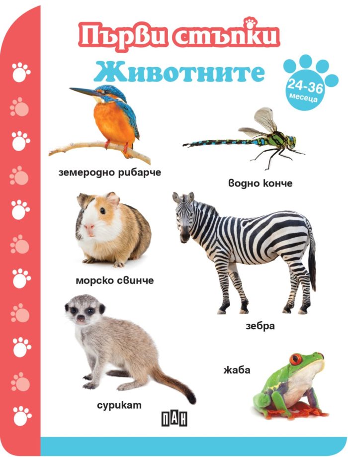 Първи стъпки. Животните 12-18 месеца Първи стъпки. Животните 12-18 месеца