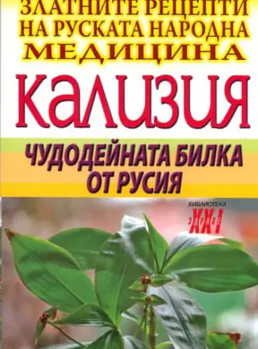 Златните рецепти на руската народна медицина: Кализия - чудодейната билка от Русия