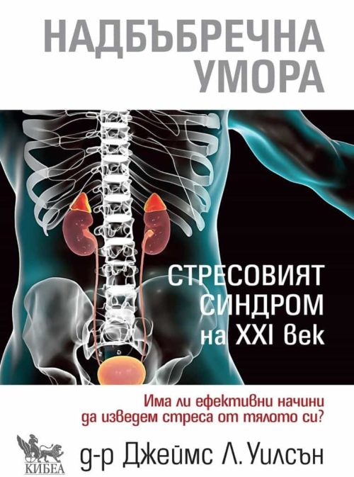 Надбъбречна умора. Стресовият синдром на ХХI век