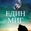 244390_b.jpg Един миг