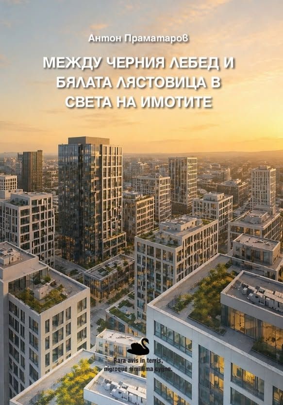 Между черния лебед и бялата лястовица в света на имотите