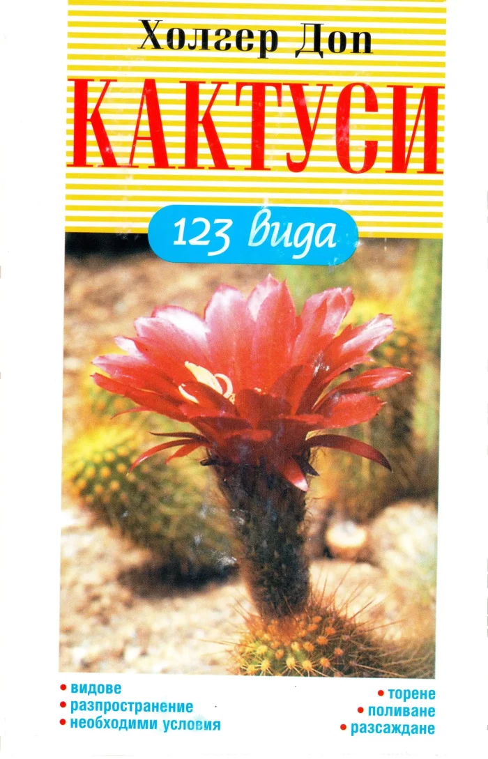 Кактуси